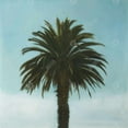 thumbnail image 3 of Palmier Tropical - Toile 24"x24 Pouces - Impression à la Demande, 3 of 5
