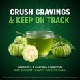 thumbnail image 5 of MAV Nutrition Apple Flavored Pectin-Based Appetite Suppresants , Chewable Gummies, 60 Count, 5 of 10