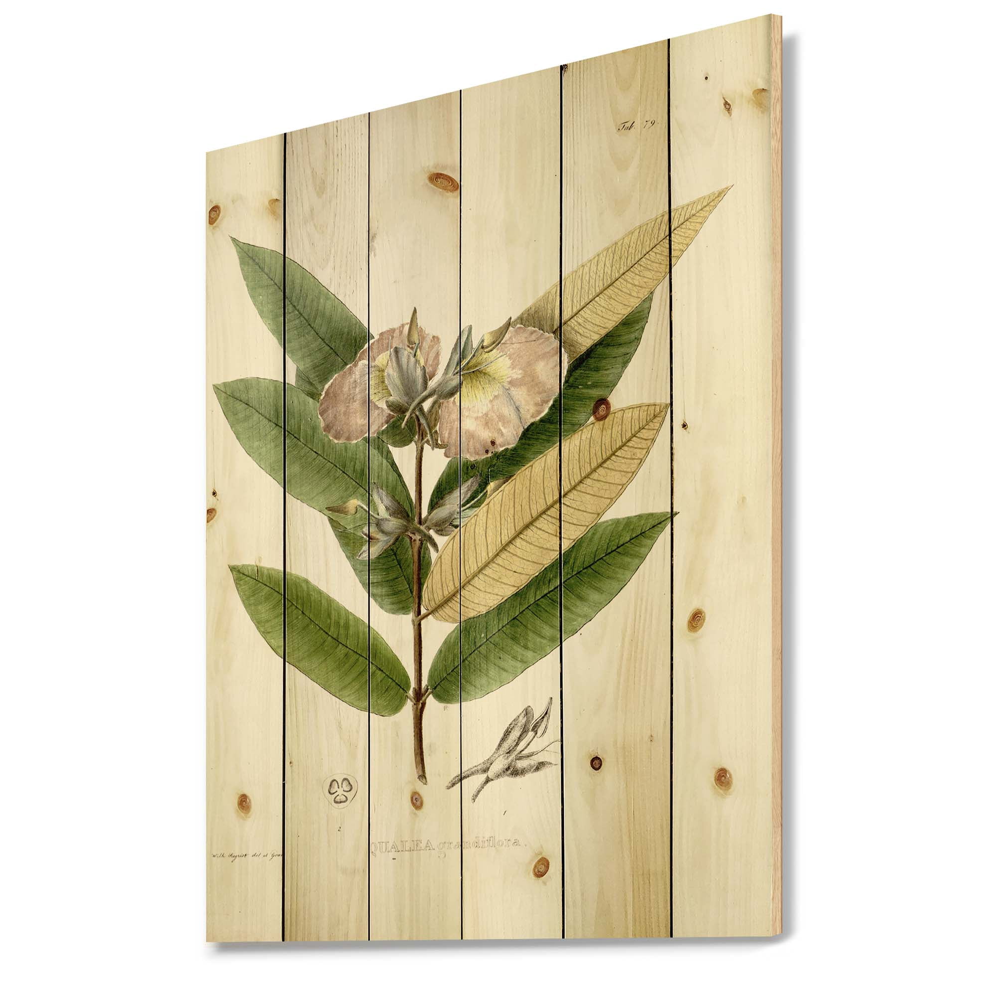 Designart 'Ancient Blossoming Flower II' Traditional Print on Natural Pine Wood