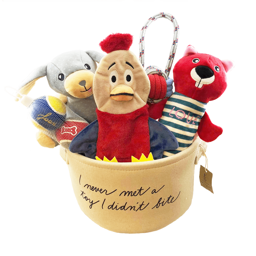 dog toy box walmart