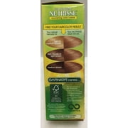 Garnier Nutrisse Haircolor - 73 Honeydip (Dark Golden Blonde) 1 Each (Pack of 6)