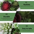 thumbnail image 5 of AURARMLET 1 Pc Artificial Succulent Plastic Picture Frame Wall Decor for Home Office Multi Color, 5 of 5