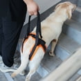 thumbnail image 6 of Necvior Portable Adjustable Dog Harness Bracket Auxiliary Belt for Pets Rear Leg Surgery, 6 of 11