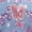 Sequins & Butterflies, variant on 6 in 1 Females Backpack with Matching Lunch Bag, Pencil Case, Keychain, Bracelet & Carabiner Clip in Sparkle Unicorns Print