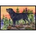 thumbnail image 1 of Carolines Treasures SS8624JMAT 24 x 36 in. Labrador Indoor Or Outdoor Mat, 1 of 4