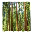 thumbnail image 3 of Ambesonne Nature Shower Curtain, Braches in Spring, 69"Wx75"L, Green Brown, 3 of 5