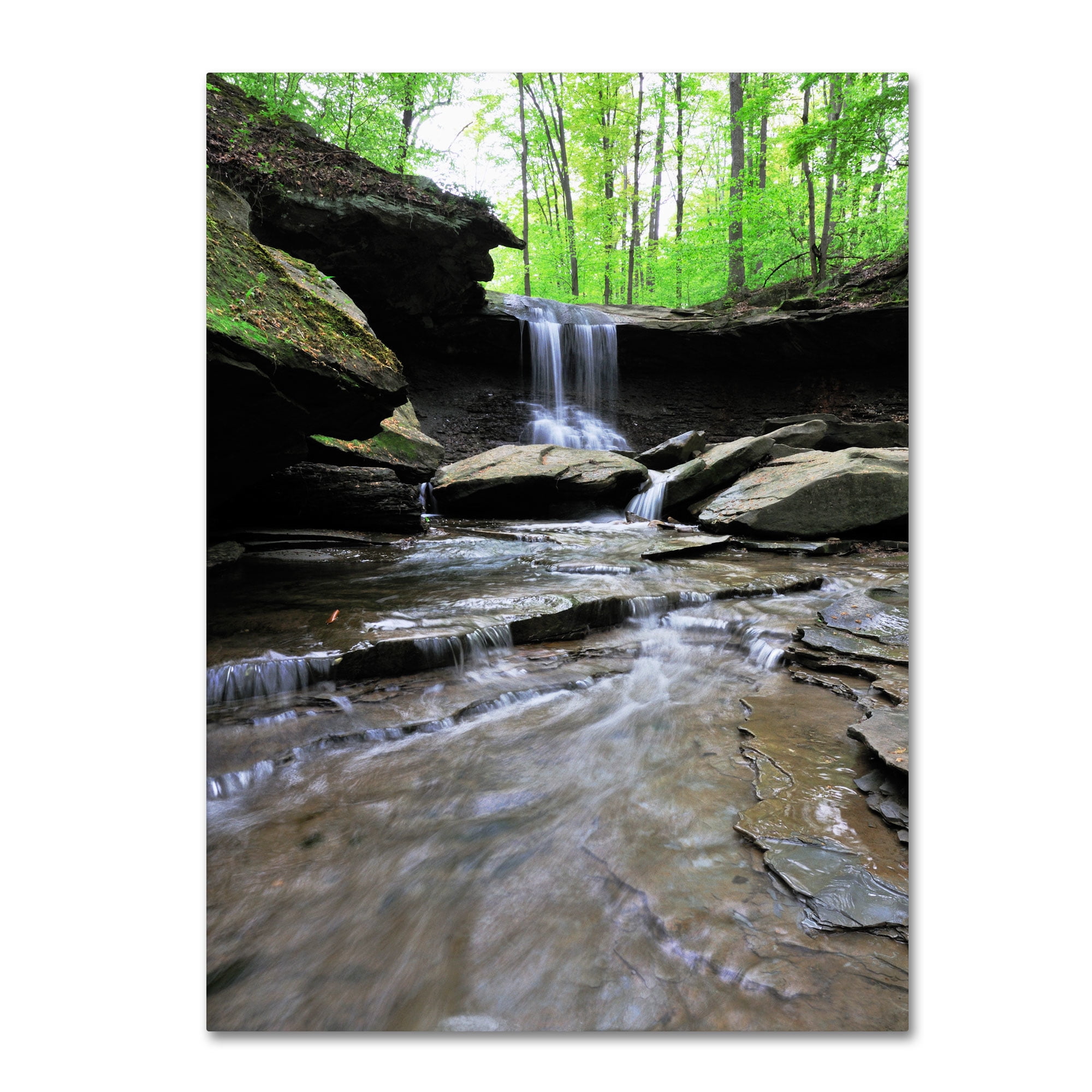 Trademark Fine Art "Blue Hen Falls in Spring" Canvas Wall Art by Kurt Shaffer
