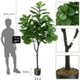 thumbnail image 3 of Artificial Fiddle Leaf Fig Tree 6FT(72in) Tall Faux Silk Ficus Trees for Home Office Living Room Decor Indoor Fake Potted Tree with Natural Dry Grass and Lifelike Ficus Leaf, 3 of 8