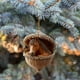 thumbnail image 5 of Adorno navideño de acrílico para árbol | Decoración navideña para el hogar | Divertida figura festiva de acrílico para la decoración del árbol de interior, 5 of 7