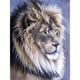 thumbnail image 1 of 5D bricolaje taladro redondo completo diamante pintura tigre Animal bordado Rhinestone Kit Hugtrwg Para estrenar, 1 of 8