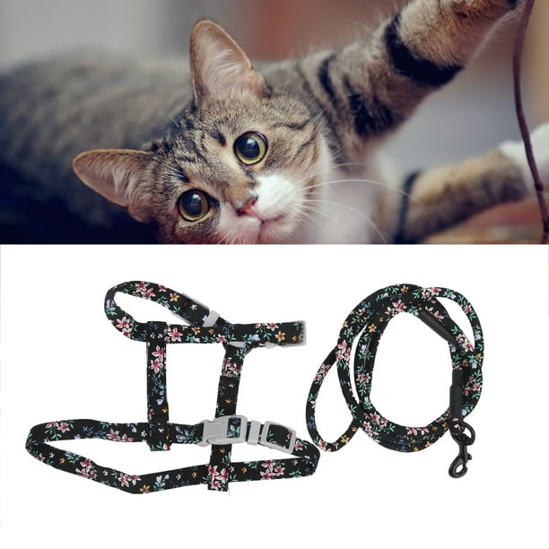 Juego De Arnés Y Correa Para Gatos, Juego De Arnés Y Correa Para Perros Elásticos Para Evitar Lesiones Para Gatitos Que Caminan Por La Noche Al Aire Libre