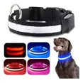 thumbnail image 1 of Collar,correa P,perro Con Luz Led Seguridad Paseo Nocturno Color Negro Tamaño del collar M, 1 of 8