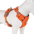 thumbnail image 3 of Beirui Reflective No Pull Dog Harness Waterproof Oxford Vets Adjustable with Handle, 3 of 14