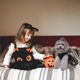 thumbnail image 5 of Juego de telaraña de calabaza, suministros para mascotas de Halloween, ropa para perros, vestido de bruja, disfraz para perros, vestido de murciélago, día de Navidad, 5 of 5
