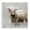Longhorn Cattle Countryside Farmhouse, variant on Stupell Industries Rustic Lodge Subtle Longhorn Cattle Black Floating Frame Canvas Art, 18 x 18, by Danita Delimont