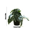 thumbnail image 3 of Pklyzj Clearance Simulation Alocasia Macrorrhizos Pot Home Living Room Decoration Pot Fresh Small Green Plant Fake Plants Grocery & Essentials, 3 of 6