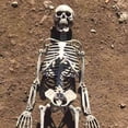 thumbnail image 4 of Lubelski 90cm Simulation Human Skeleton Ornament, 4 of 6