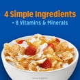 thumbnail image 4 of Kellogg's Frosted Flakes Original Breakfast Cereal, Fat Free, Family Size, 21.7 oz ( Include One Tissue Pack ), 4 of 8