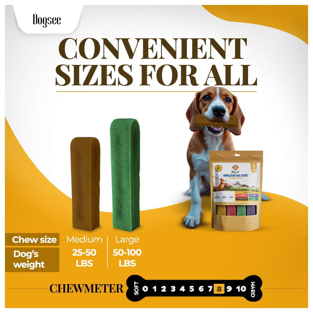 Dogsee Multiflavor Yak Chews Medium Dogs Dental Chews Rawhide Free 280 g 4 Bars