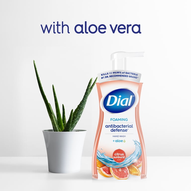 Dial Antibacterial Defense Foaming Hand Soap, 7.5 fl oz, Citrus