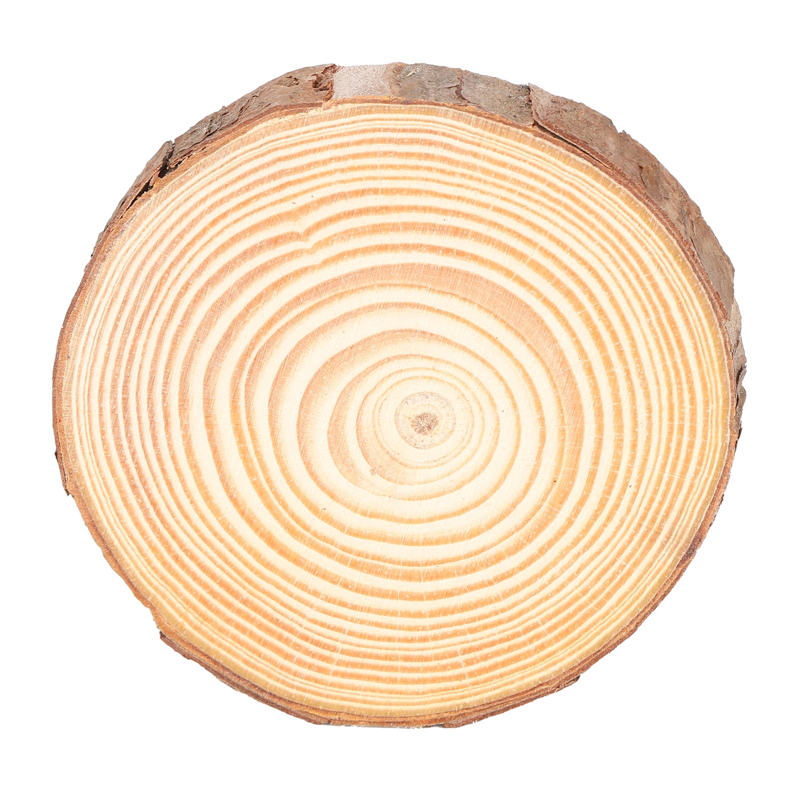 Wood Slices For DIY Crafts Log Discs Round Centerpiece Dried Natural 50Pcs 2-4CM 