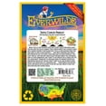thumbnail image 2 of Everwilde Farms - 1000 Triple Curled Parsley Seeds - Gold Vault Jumbo Bulk Seed Packet, 2 of 5