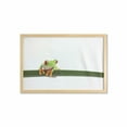 thumbnail image 1 of Animal Wall Art with Frame, Red Eyed Tree Frog Perches on a Long Slim Leaf Tropic Rainforest Animal Wild Life, Printed Fabric Poster for Bathroom Living Room, 35" x 23", Green White, by Ambesonne, 1 of 2