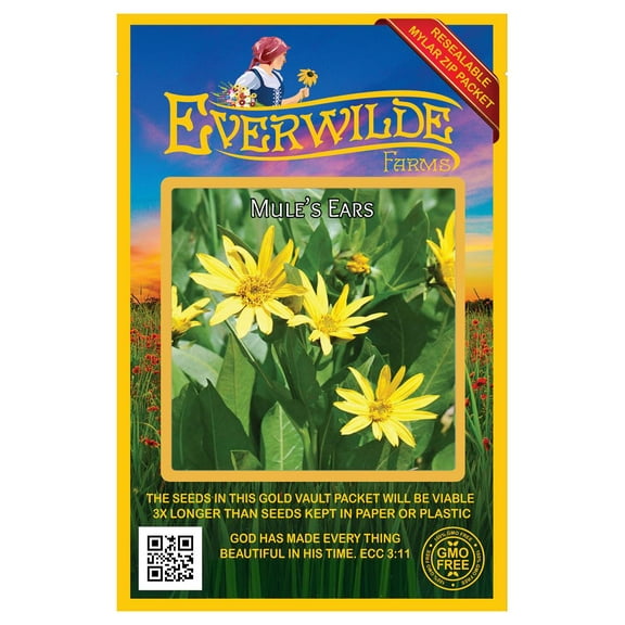 Everwilde Farms - 50 Mules Ears Native Wildflower Seeds - Gold Vault Jumbo Bulk Seed Packet