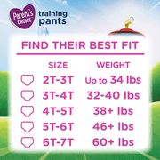 Parent's Choice Paw Patrol Training Pants for Girls, 2T/3T, 94 Count (Select for More Options)