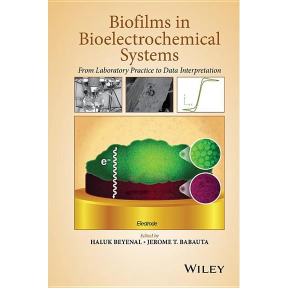 Biofilms in Bioelectrochemical Systems: From Laboratory Practice to Data Interpretation, (Hardcover)