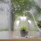 thumbnail image 5 of Cúpula de plantas de jardín con cubierta protectora de plantas reutilizable ligera Cúpula de plantas de jardín transparente, 5 of 6
