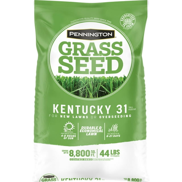 Pennington KY-31 Tall Fescue Grass Seed, 44 lbs
