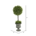 thumbnail image 2 of Vickerman 21" Artificial Green Oregon Juniper Topiary., 2 of 3
