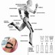 thumbnail image 5 of 5cm x 5m Elastic Kinesiology Tape for Muscle Support and Pain Relief during Sports Activities like Running Tennis Swimming Football, 5 of 5