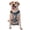 With Accessories, variant on Vsdgher Cute Cloud Cat Pattern Dog Harness,No Pull Pet Harness with Soft Padded Handle,Adjustable Reflective Vest with 2 Buckles,4 Slide Buckles,S-XL Large
