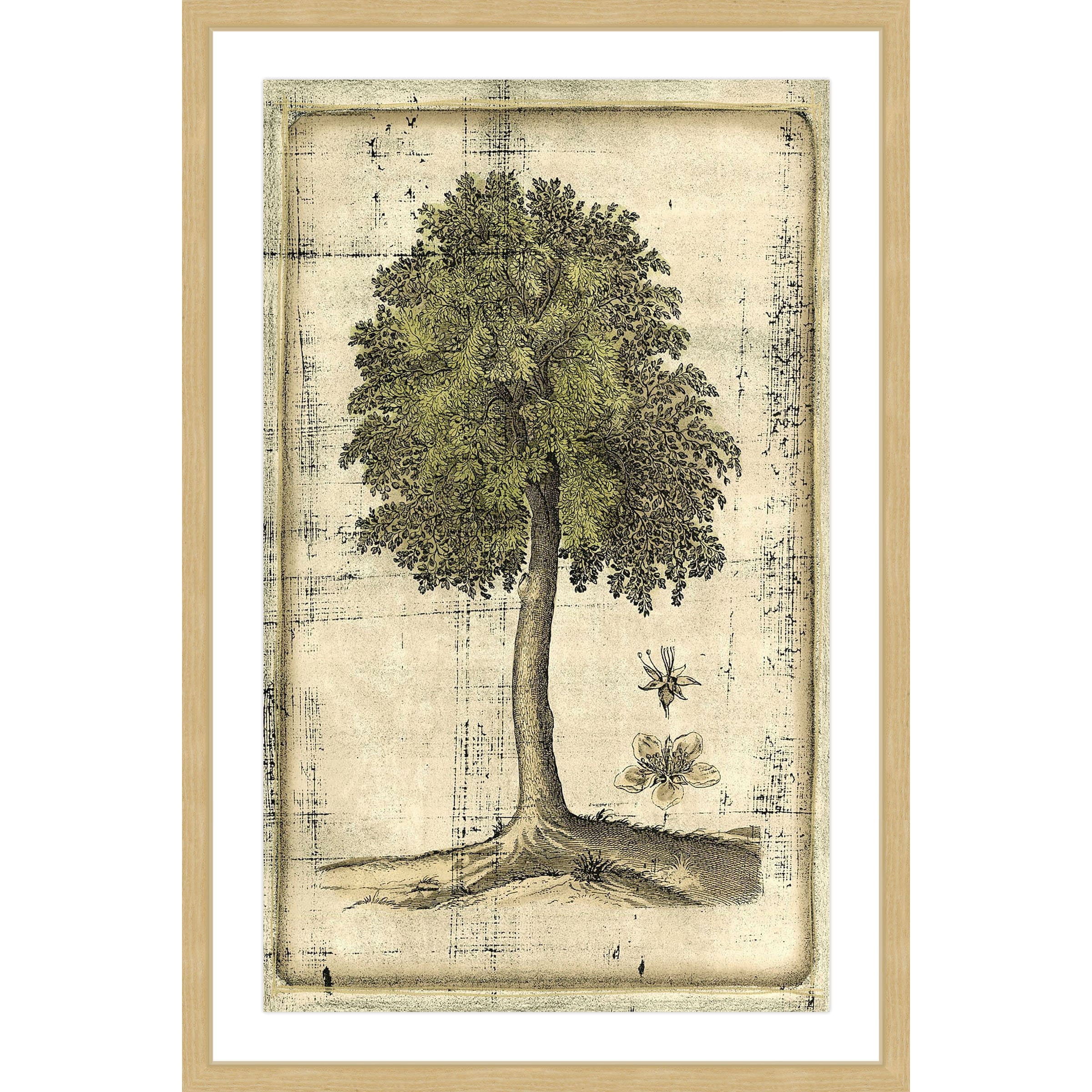 Marmont Hill "Fruitful Realm II" Framed Painting Print