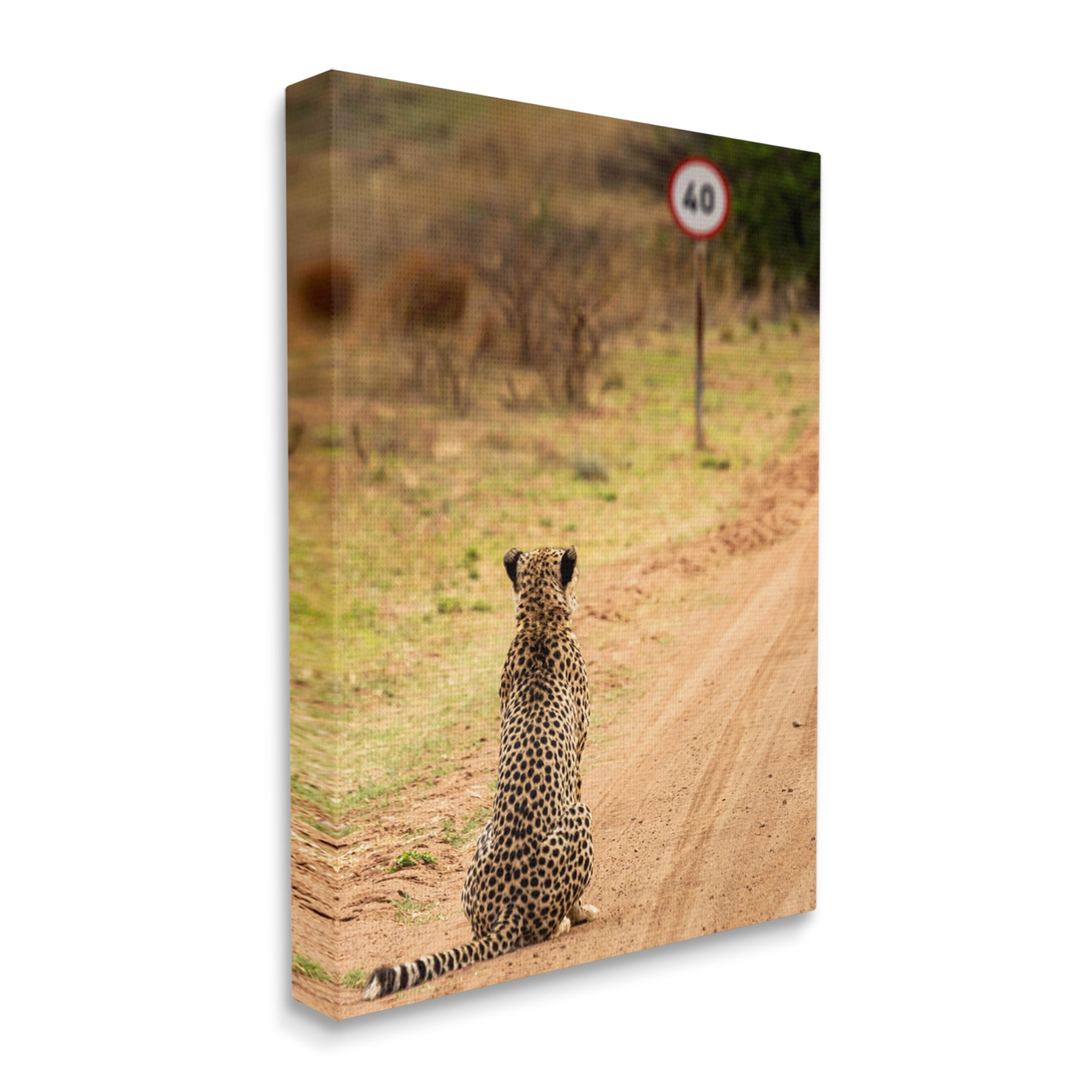 Stupell Industries Speedy Cheetah on Road Animals & Insects Photography Gallery Wrapped Canvas Art Print Wall Art, 30 x 40