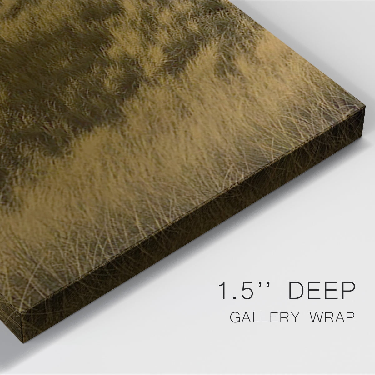 Golden Fog I Premium Gallery Wrapped Canvas - Ready to Hang