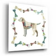 thumbnail image 2 of Epic Art 'Good Dog II Sq with Border' by Courtney Prahl, Acrylic Glass Wall Art, 12"x12", 2 of 8