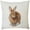 B, variant on Zhourta Easter Pillow Covers Spring Easter Throw Pillow Covers Easter Bunny Eggs Cushion Covers Pillow Cases for Home Outdoor Sofa Couch Decoration 18x18Inch