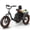 Black, variant on PUCKIPUPPY Electric Tricycle for Adults 960W Rear Motor 55Miles Range 20mph Max Speed 20" Fat Tire Electric Trike 3 Wheel Electric Bike 48V 15AH Battery E-Mountain Bike, Comply with UL2849 by SGS