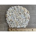 thumbnail image 3 of GAF TREASURES WHOLESALE Natural Semi Tumbled Mother of Pearl Gemstone Chips ( 2 oz / 0.125 lb ), 3 of 8