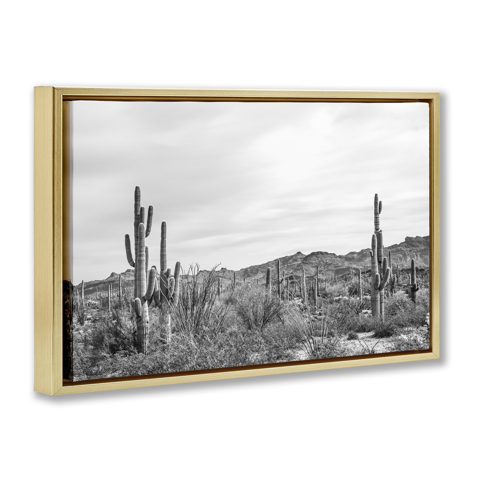 Stupell Industries Sonoran Desert Wonderland Landscape & Nature Photography Gold Floater Framed Canvas Art Print Wall Art, 25 x 17