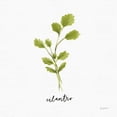 thumbnail image 2 of Thorns, Becky 15x15 White Modern Wood Framed Museum Art Print Titled - Herbs IV White, 2 of 4