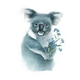 thumbnail image 2 of Sheppard, Lucca 12x14 Black Ornate Wood Framed with Double Matting Museum Art Print Titled - Baby Koala with Flowers, 2 of 4