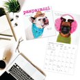thumbnail image 3 of Graphique 2025 Pawparazzi Mini Wall Calendar - 7” x 7” - Thick Paper - Home & Office Organizer - Large Monthly Grid - 3 Languages & Marked Holidays - 4 Month Preview Page for 2026, 3 of 6