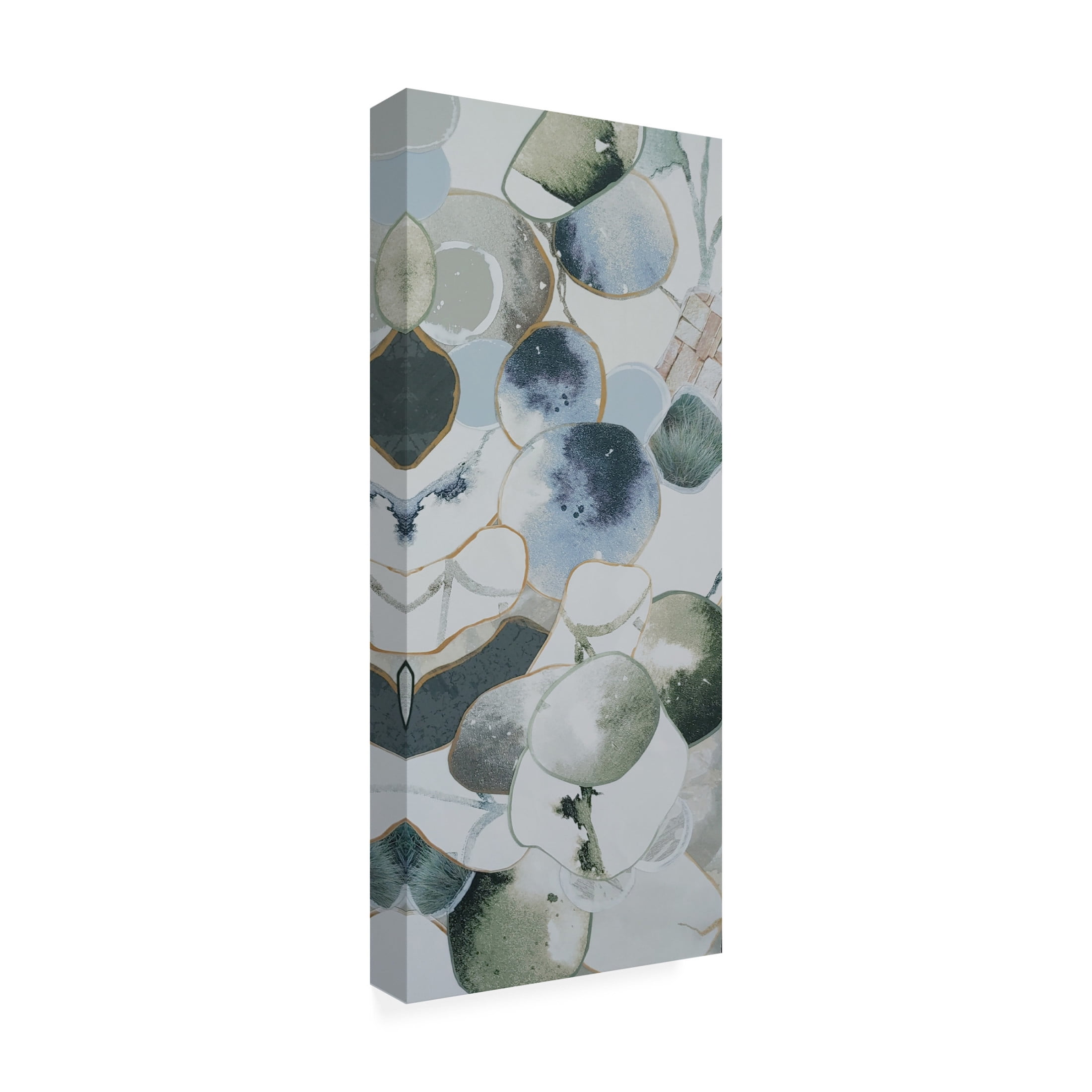 Trademark Fine Art Coco Good  Plums and Avocados I Canvas Wall Art