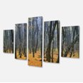 thumbnail image 2 of Bois Foncés en Forêt d'Automne - Art Moderne sur Toile, 2 of 3