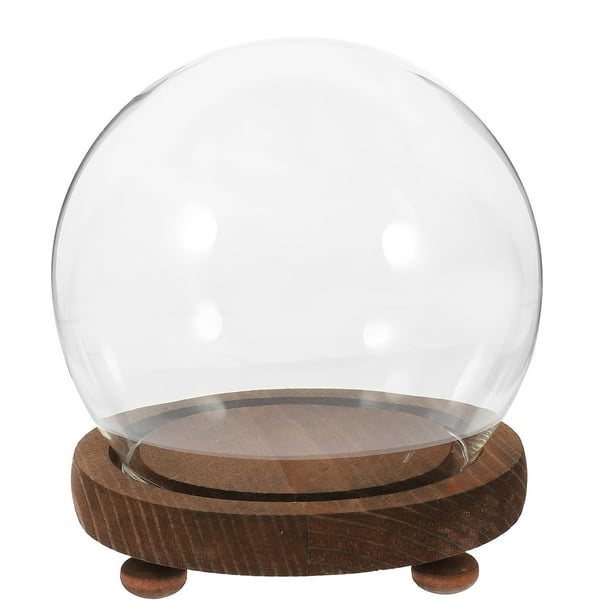 Vitrina de vidrio en miniatura con cúpula redonda para plantas con base