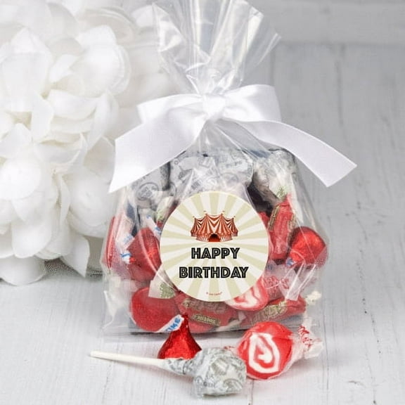 12ct Circus Party Goodie Bags Kids Birthday Candy Filled Favors (12 Pack)